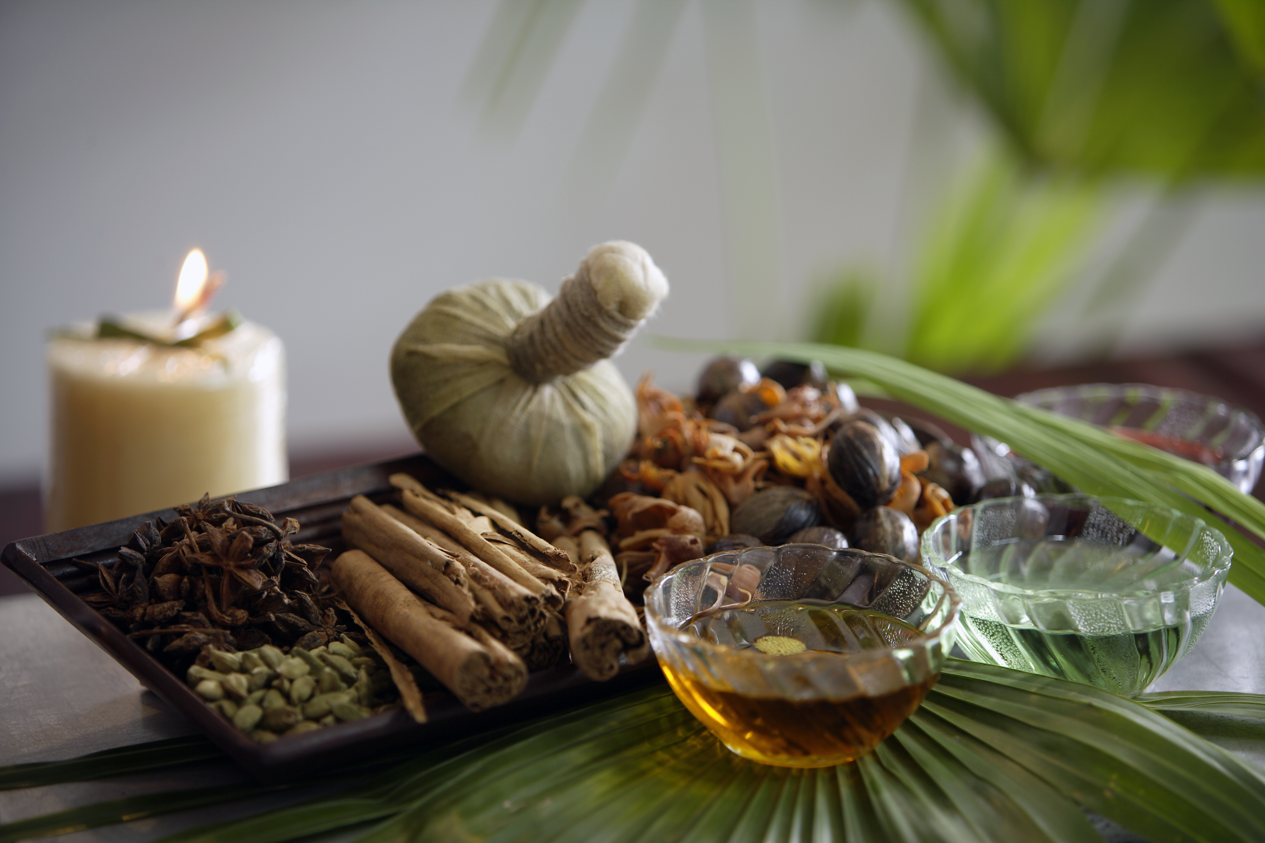 Massage product. Панчакарма Керала. Панчакарма в Индии. Аюрведа и панчакарма. Консультация Аюрведа.